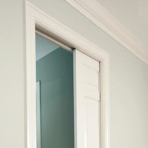 cavity door system